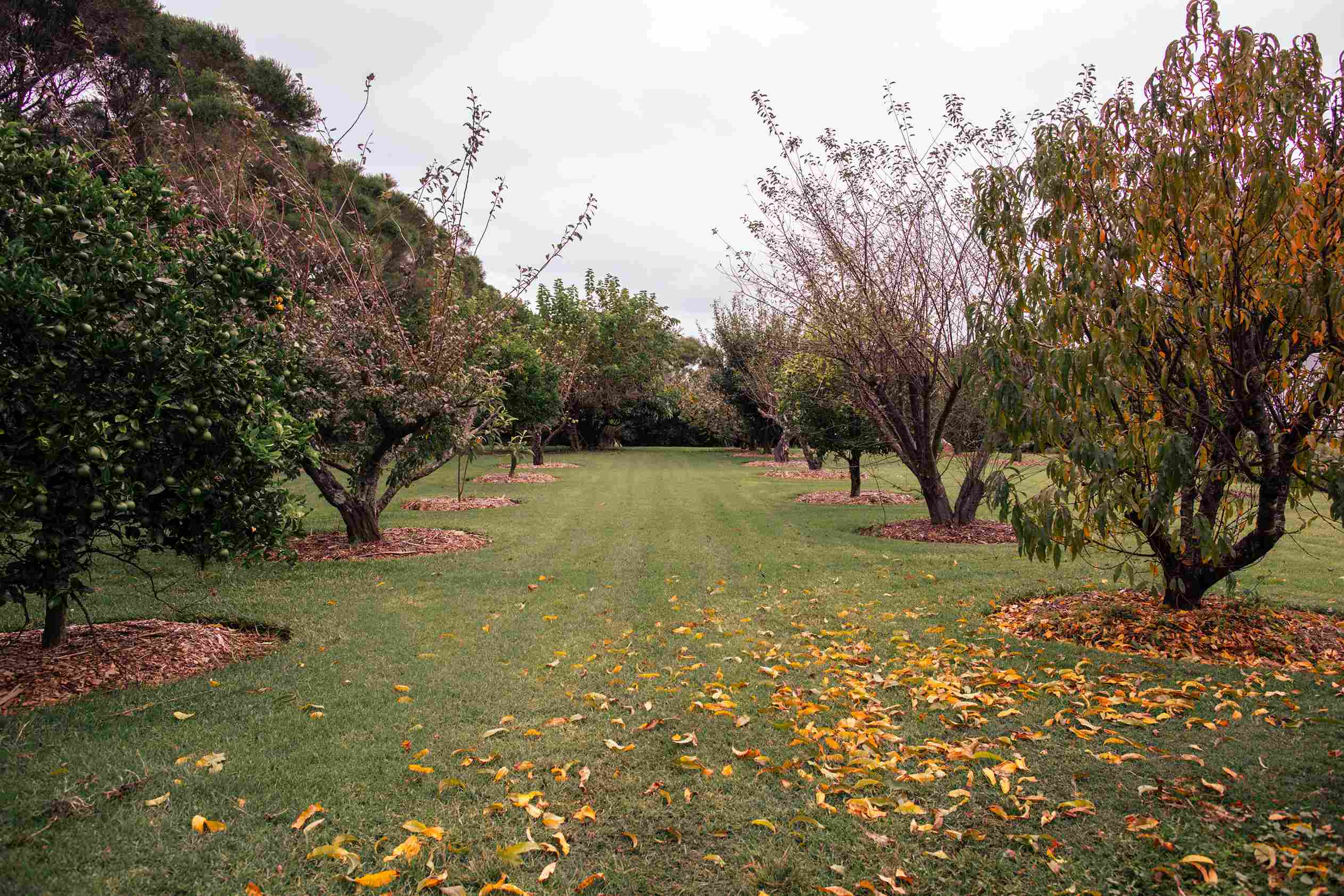 venue-image