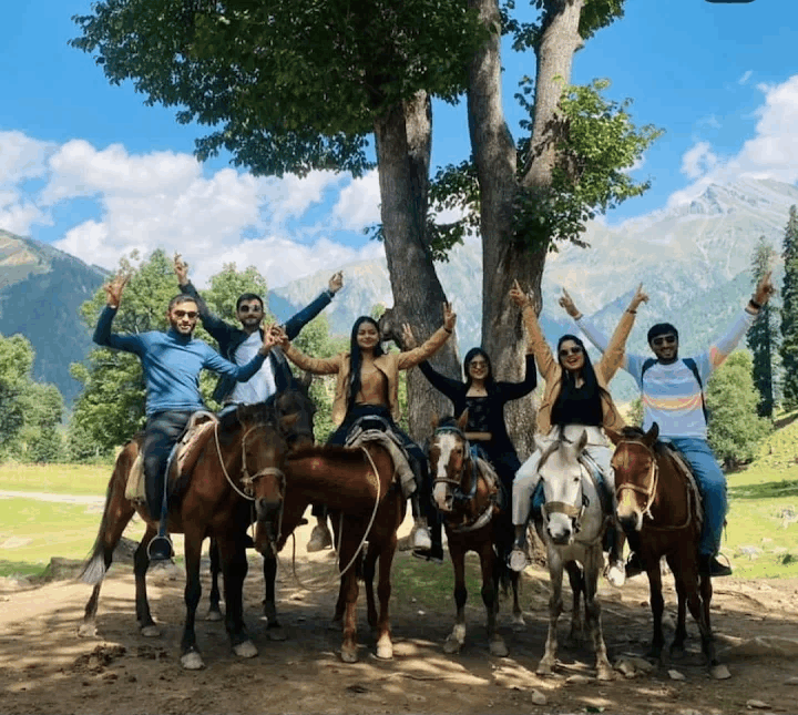 Holidays Wide Wings Team