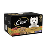 Cesar Country Stew Adult Wet Dog Food Trays Special Selection 8 x 150g