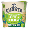 Quaker Oat So Simple Apple & Blueberry Porridge Pot 57g