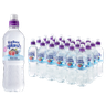 Radnor Splash Forest Fruits Still Flavoured Spring Water 500ml