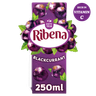 Ribena Blackcurrant Juice Drink Carton 250ml