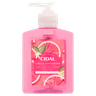 Cidal Antibacterial Pink Grapefruit Scent Liquid Handwash 250ml