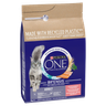 Purina ONE Adult Dry Cat Food Salmon and Wholegrain 3kg