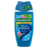 Palmolive Wellness Massage Shower Gel 250ml