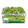 Sweetzone Mini Frogs Tub 805g