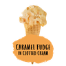 Marshfield Caramel Fudge in Clotted Cream Ice Cream 5ltr