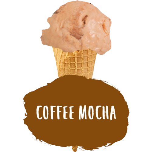 Marshfield Coffee Mocha Ripple Ice Cream 5ltr