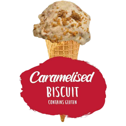 Marshfield Caramelised Biscuit Ice Cream 5ltr