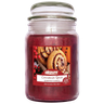 Air Pure Jar Candle Cinnamon Spice 510g