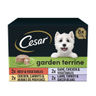 Cesar Garden Terrine Dog Food Tray Mixed in Loaf 8 x 150g