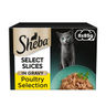 Sheba Select Slices Adult Cat Food Tray Poultry Selection in Gravy 8 x 85g