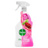 Dettol Pomegranate & Lime Splash Antibacterial Multi Purpose Cleaner 750ml