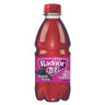 Radnor Fizz Forest Fruit 330ml