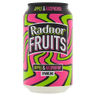 Radnor Fruits Sparkling Apple & Raspberry 330ml