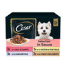 Cesar Deliciously Fresh Dog Pouches Favourites In Sauce 12x100g