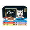 Cesar Senior 10+ Deliciously Fresh Dog Pouches Mixed Selection In Jelly 100g