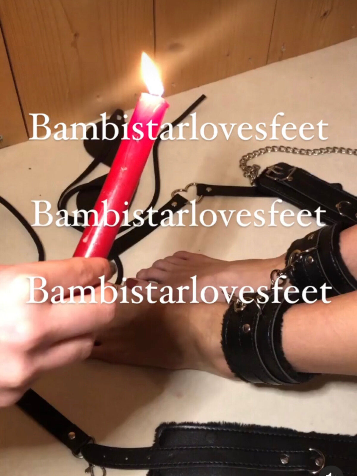 bambistar