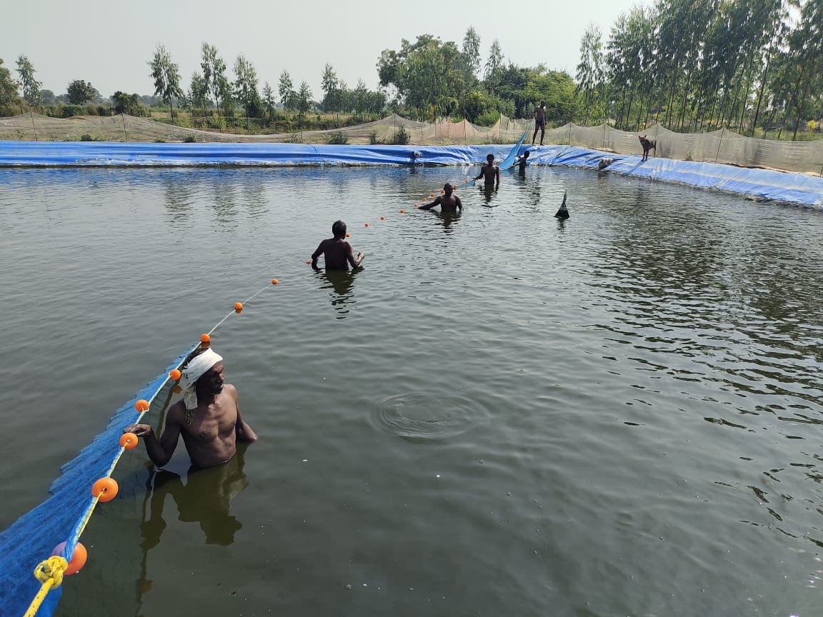 Aquaculture Farm