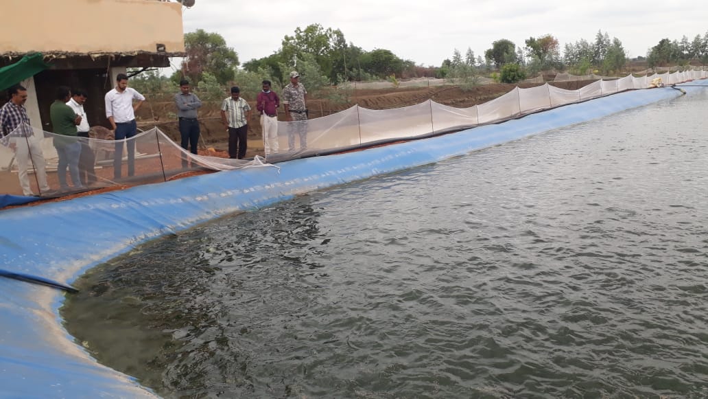 Fish Farming