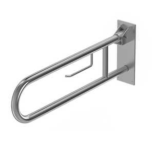 Swing Disabled Grab Bar