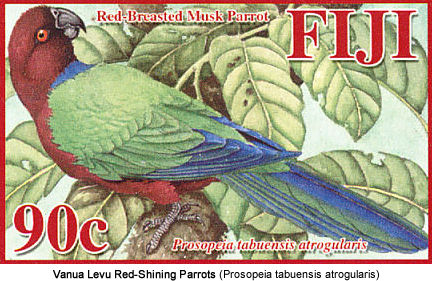Vanua Levu Red-Shining Parrots: Species: Scientific: Prosopeia tabuensis atrogularis