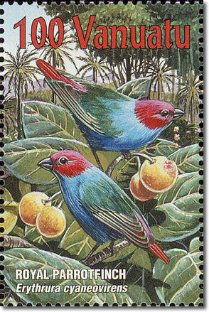 Royal Parrotfinch