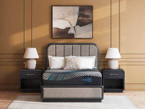 Picture of Align 14 Inch Hybrid 2.0 Cal-King Mattress