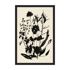 Picture of Silhouetted Wildflowers II Wall Art Set