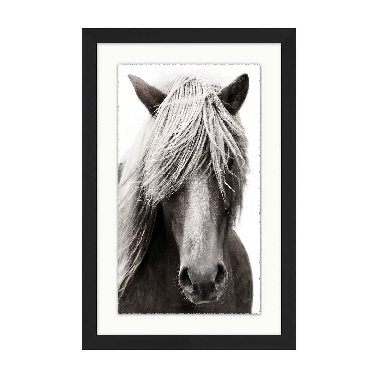 Picture of Horse Portrait Wall Art