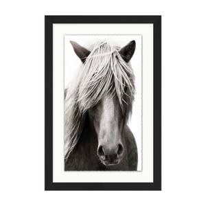 Picture of Horse Portrait Wall Art