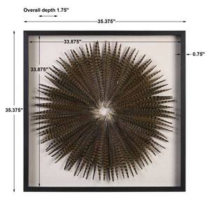 Picture of Feather Burst Shadow Box