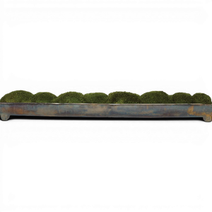 Picture of Canal Moss Centerpiece