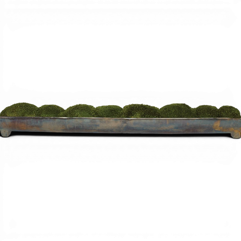 Picture of Canal Moss Centerpiece