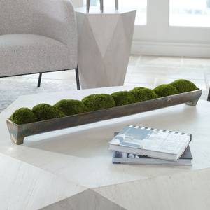 Picture of Canal Moss Centerpiece