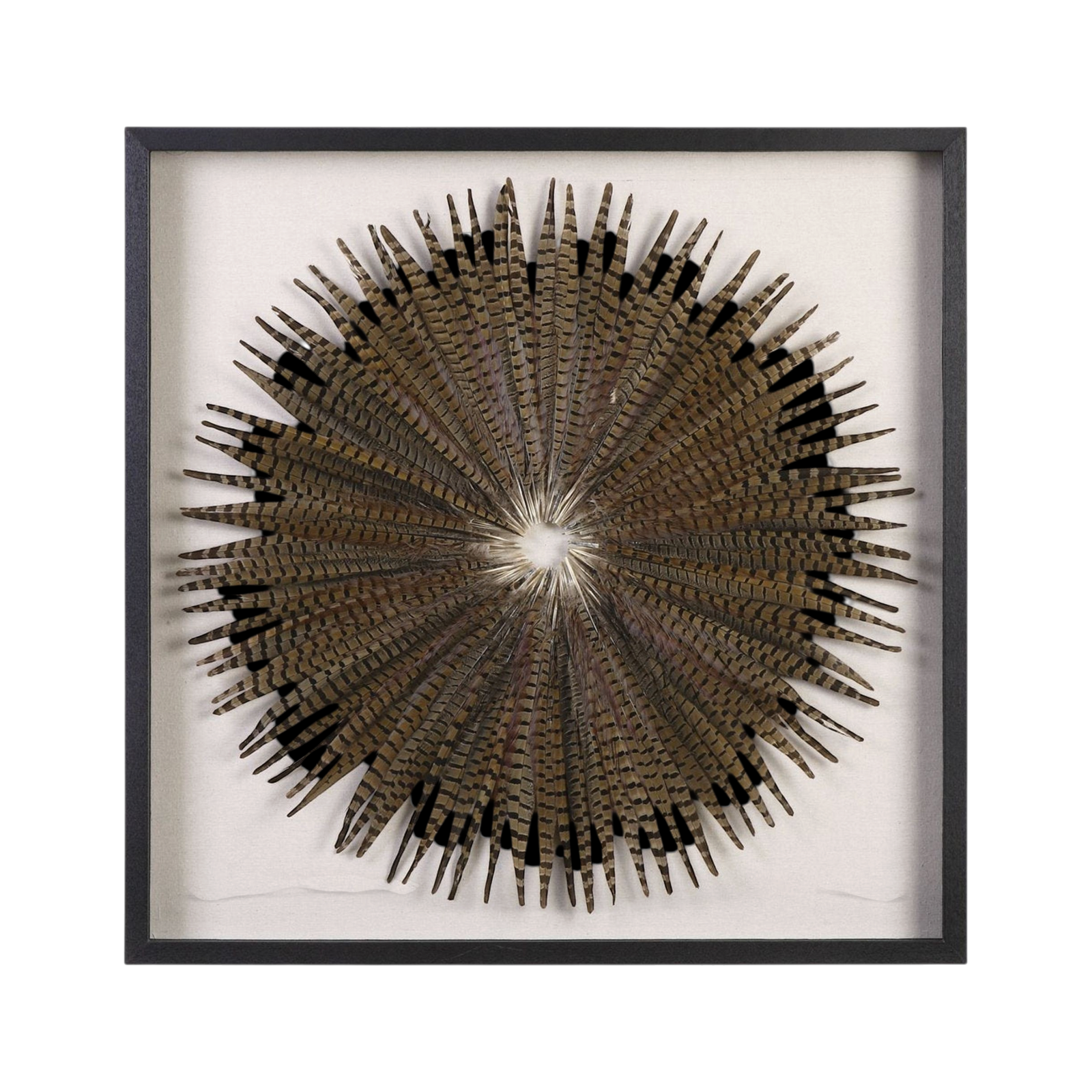 Picture of Feather Burst Shadow Box