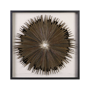 Picture of Feather Burst Shadow Box