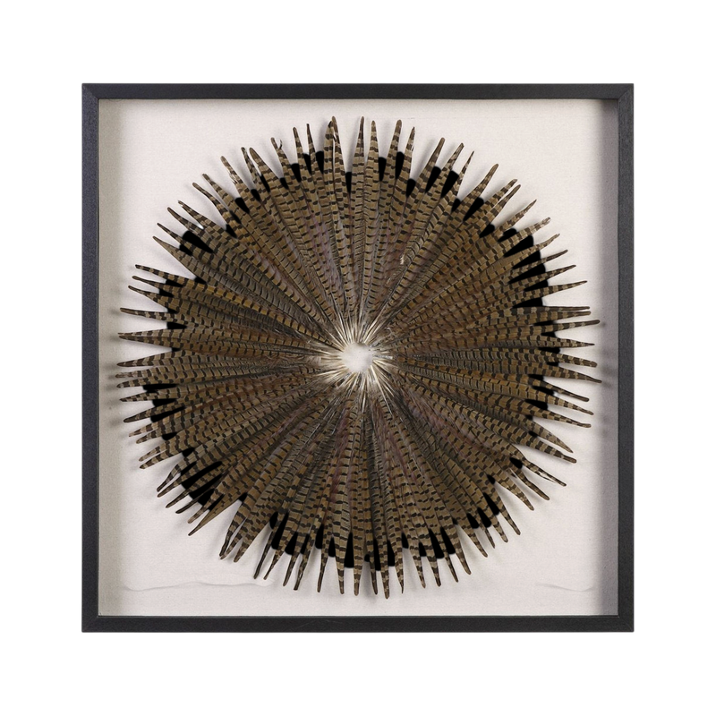 Picture of Feather Burst Shadow Box