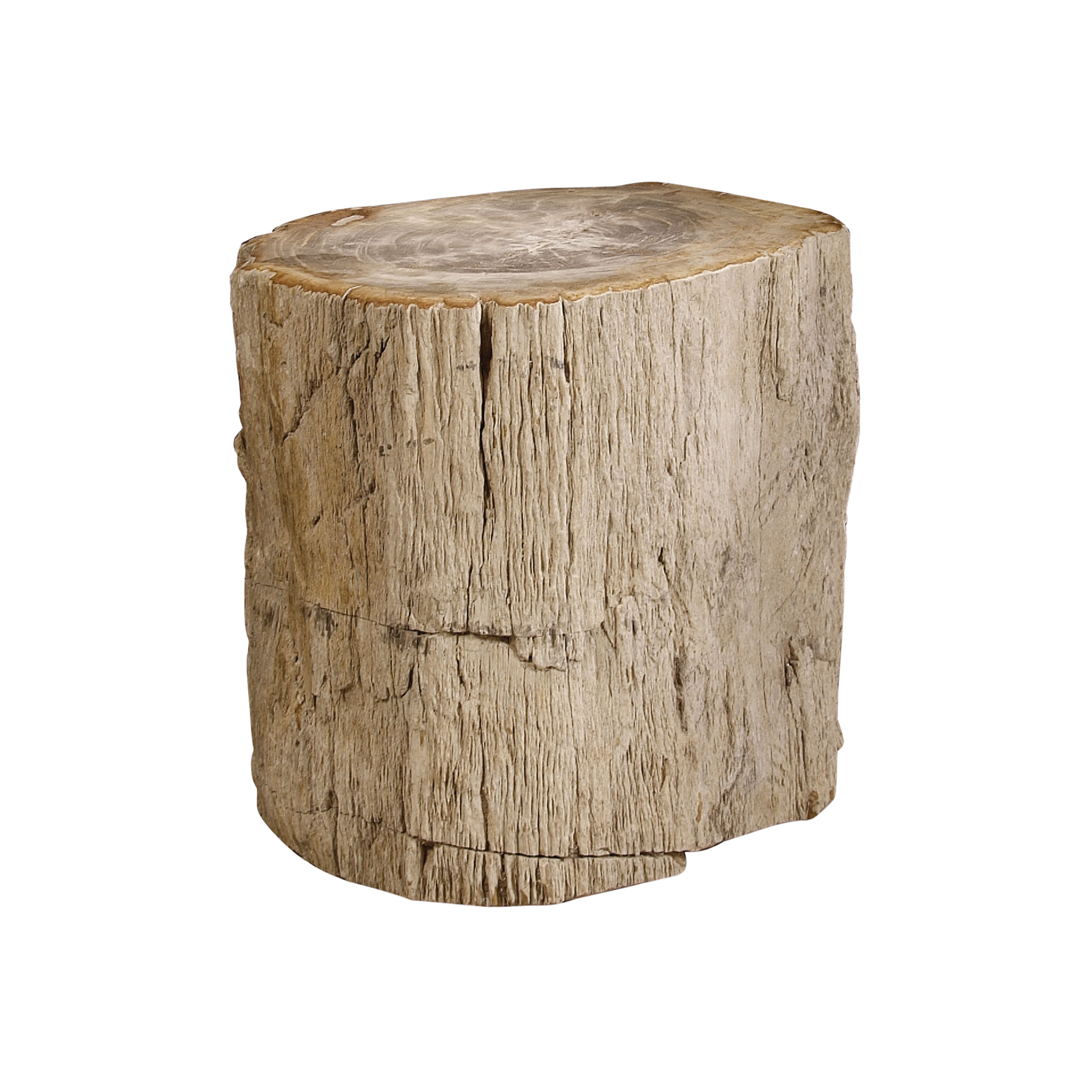 Picture of Petrified Accent Table