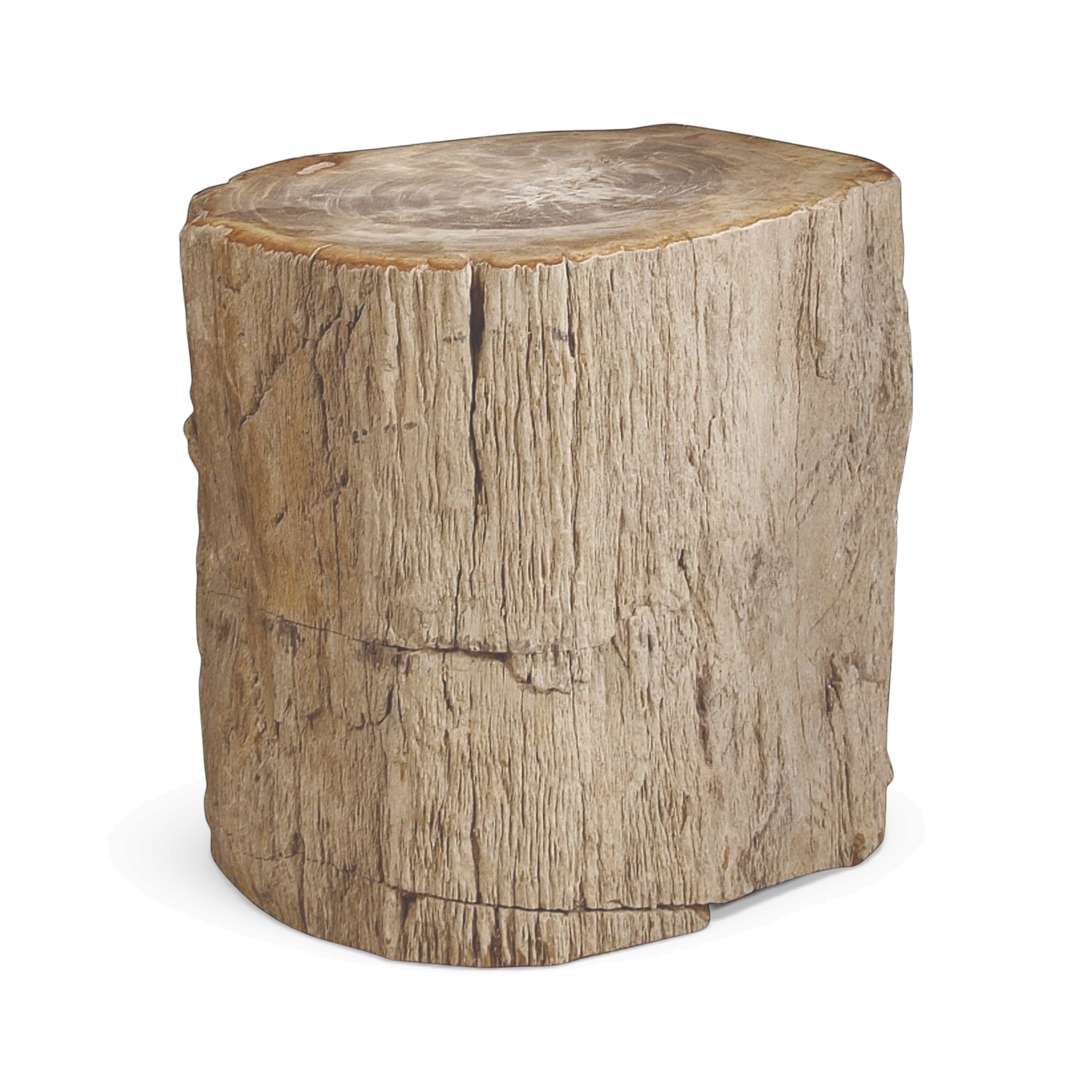 Picture of Petrified Accent Table