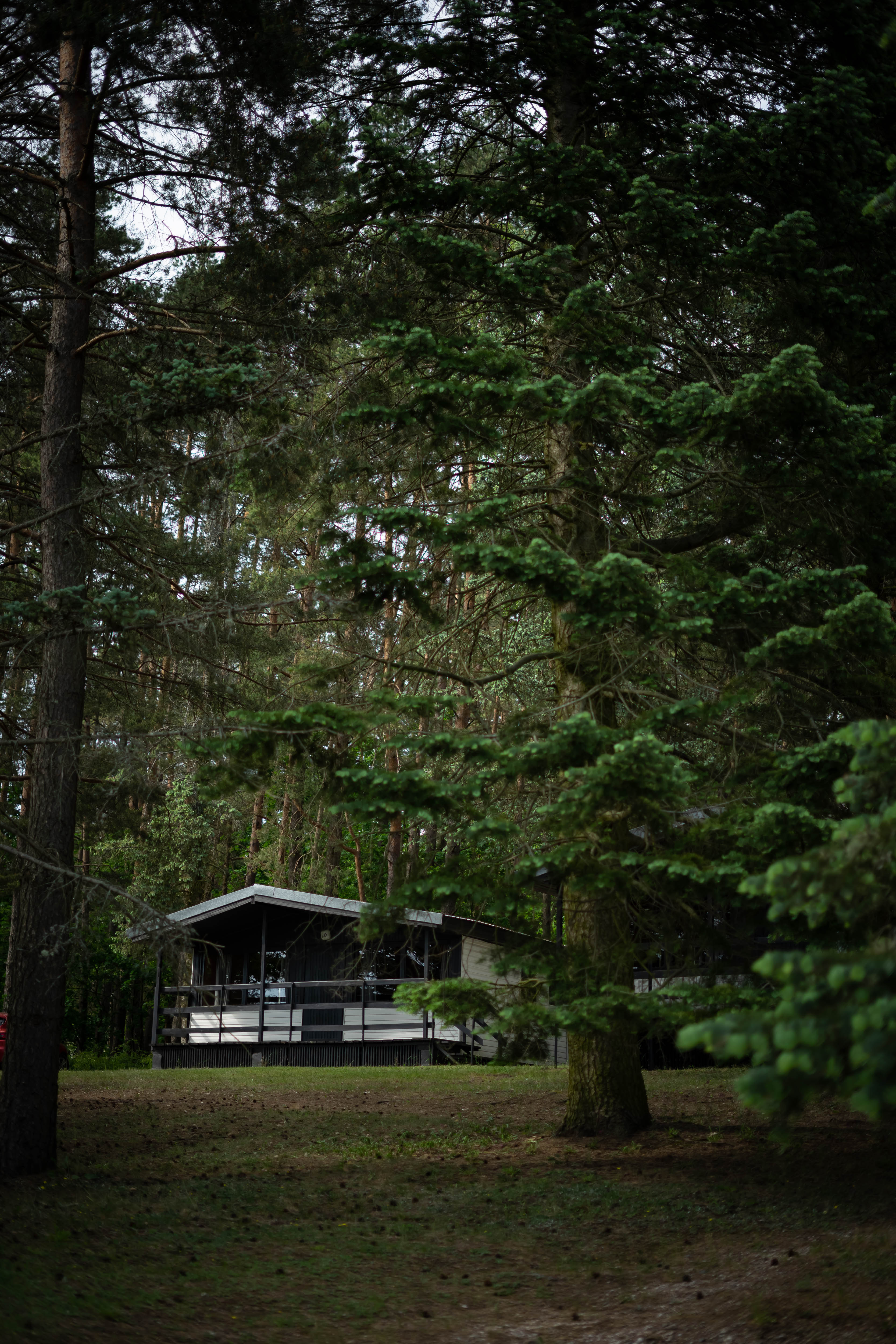 zdjecie domku w Mazury Club