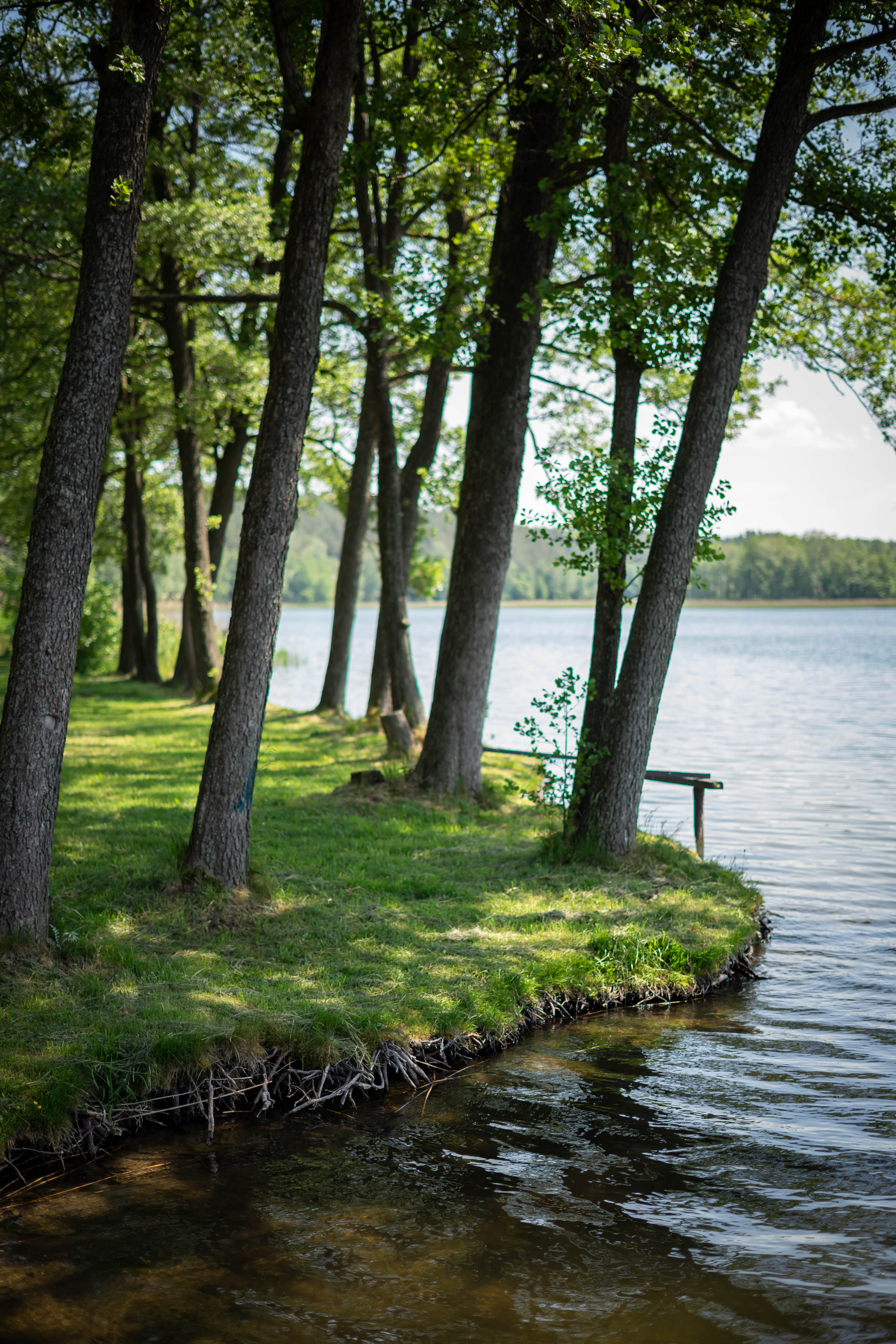zdjęcie mazury