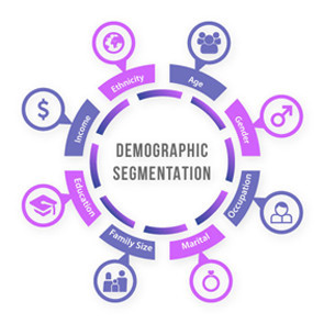 segmentation demographic