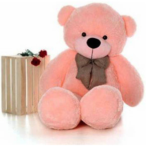 Baby Pink Teddy with Brown Bow Baby Pink Teddy with Brown Bow