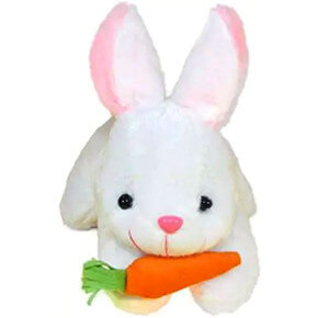 Rabbit bitting a carrot Rabbit bitting a carrot