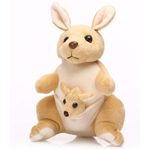 Kangaroo with Joeys Kangaroo with Joeys