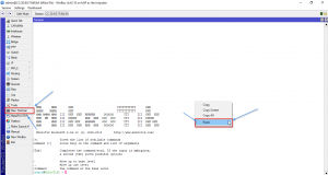 New Terminal do Mikrotik