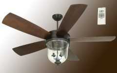 60 Inch Outdoor Ceiling Fans with Lights