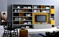 Bookcases and Tv Unit