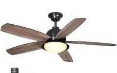 Outdoor Ceiling Fans for Coastal Areas